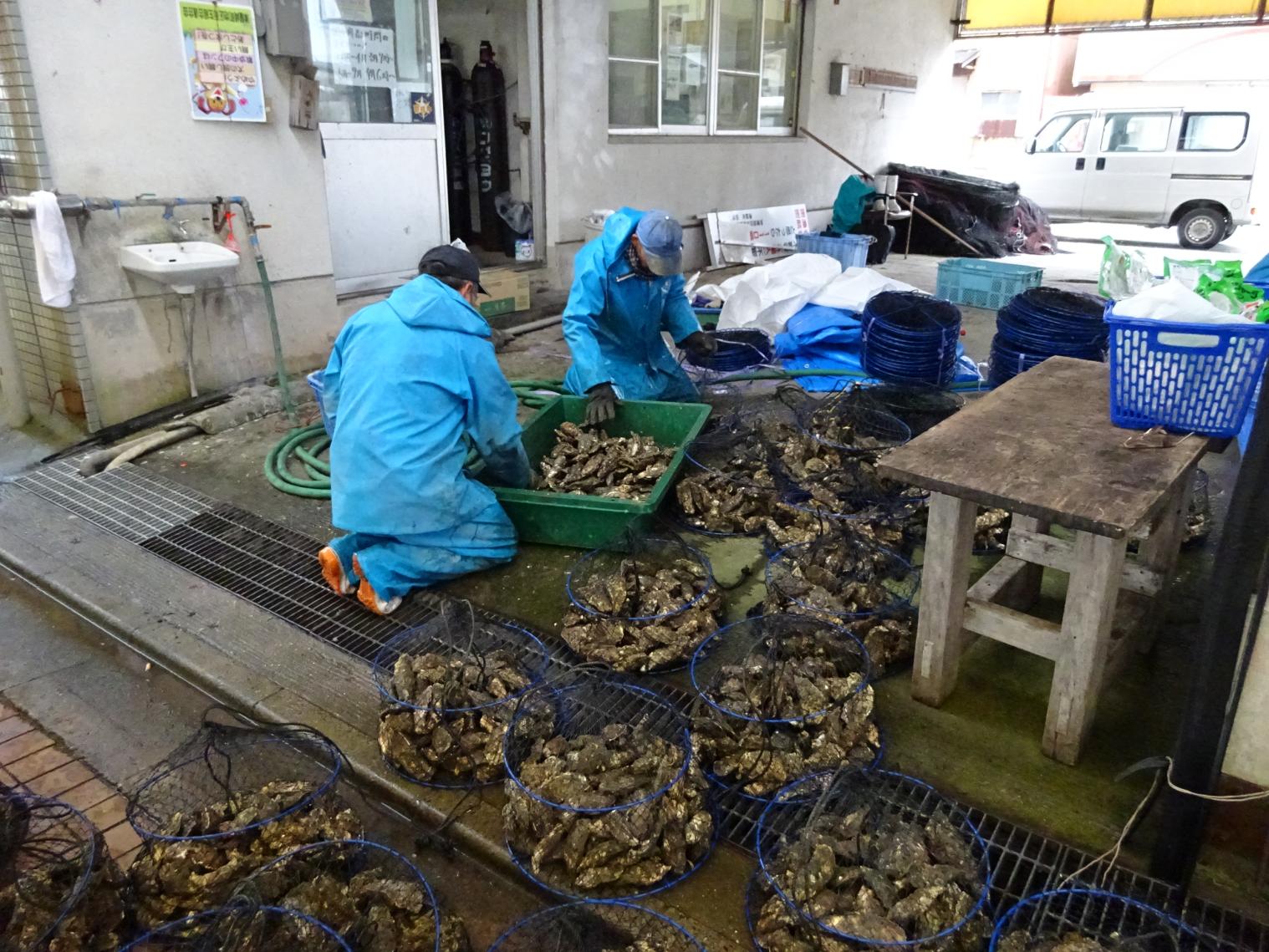 津屋崎千軒かき特売会-4