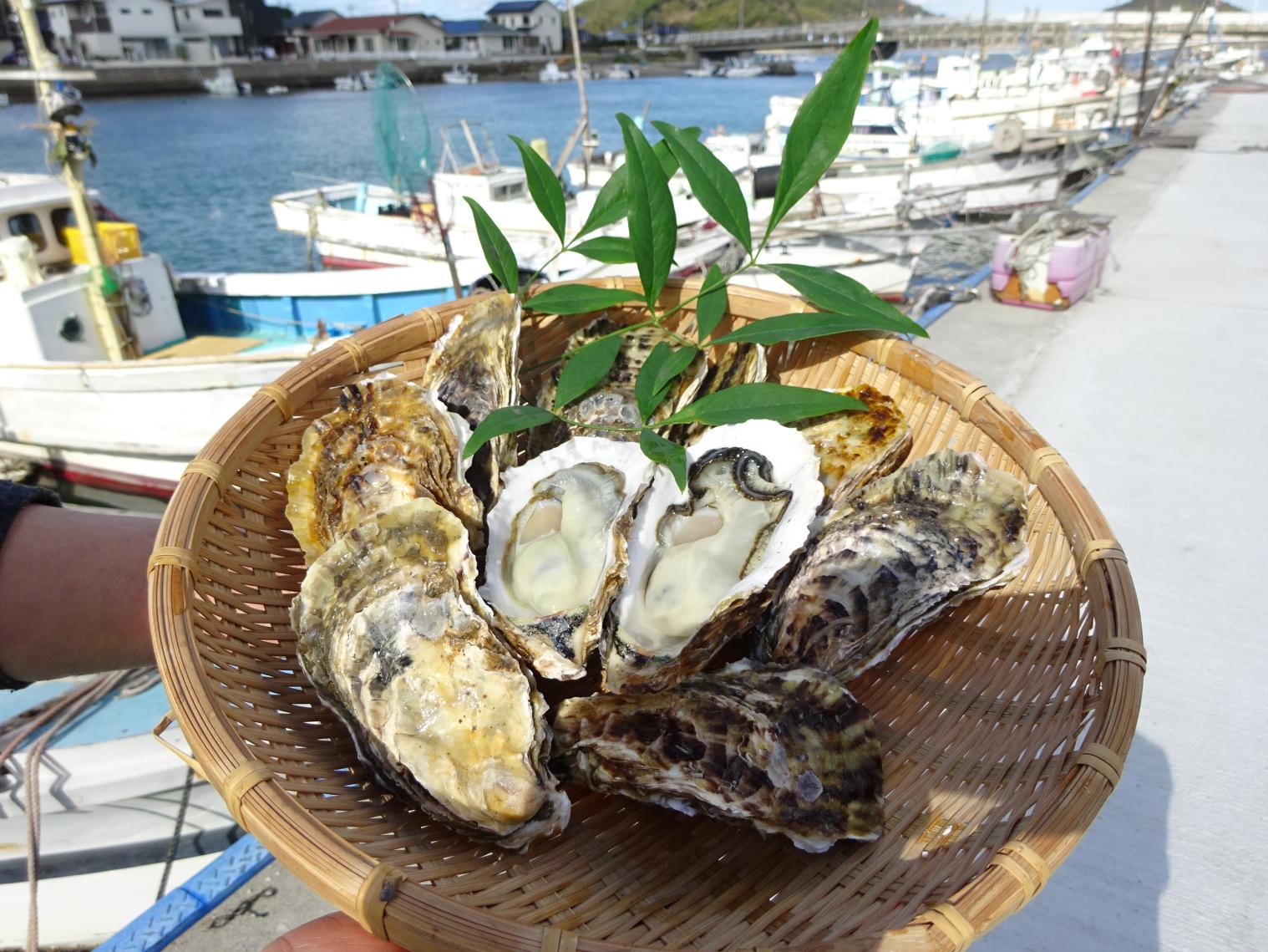 津屋崎千軒かき特売会-1
