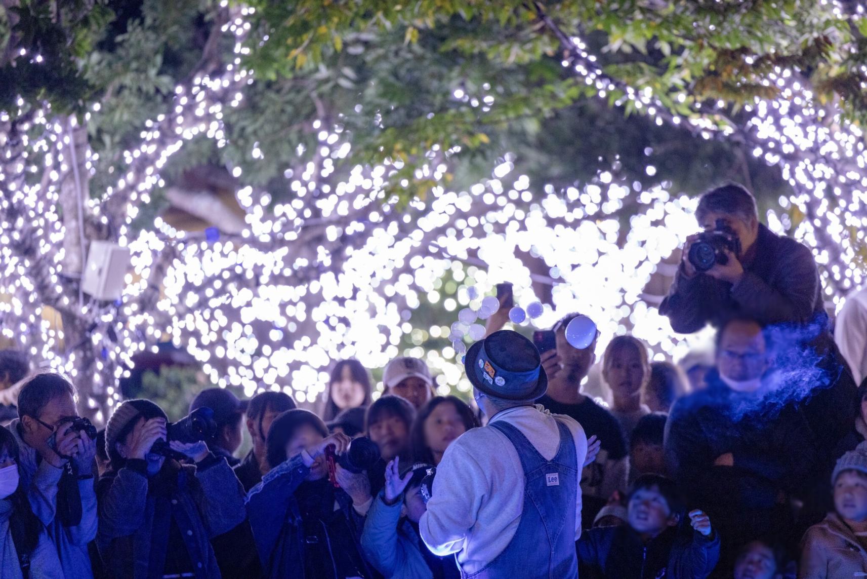 糸島イルミネーション2025-1