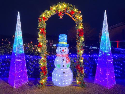 石橋文化センターイルミネーション-1