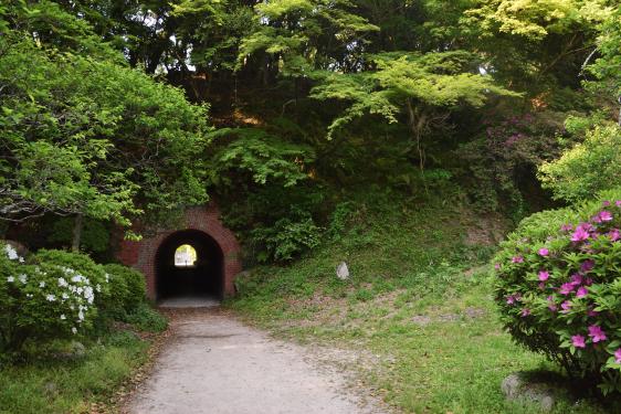 お石トンネル（太宰府市）-0