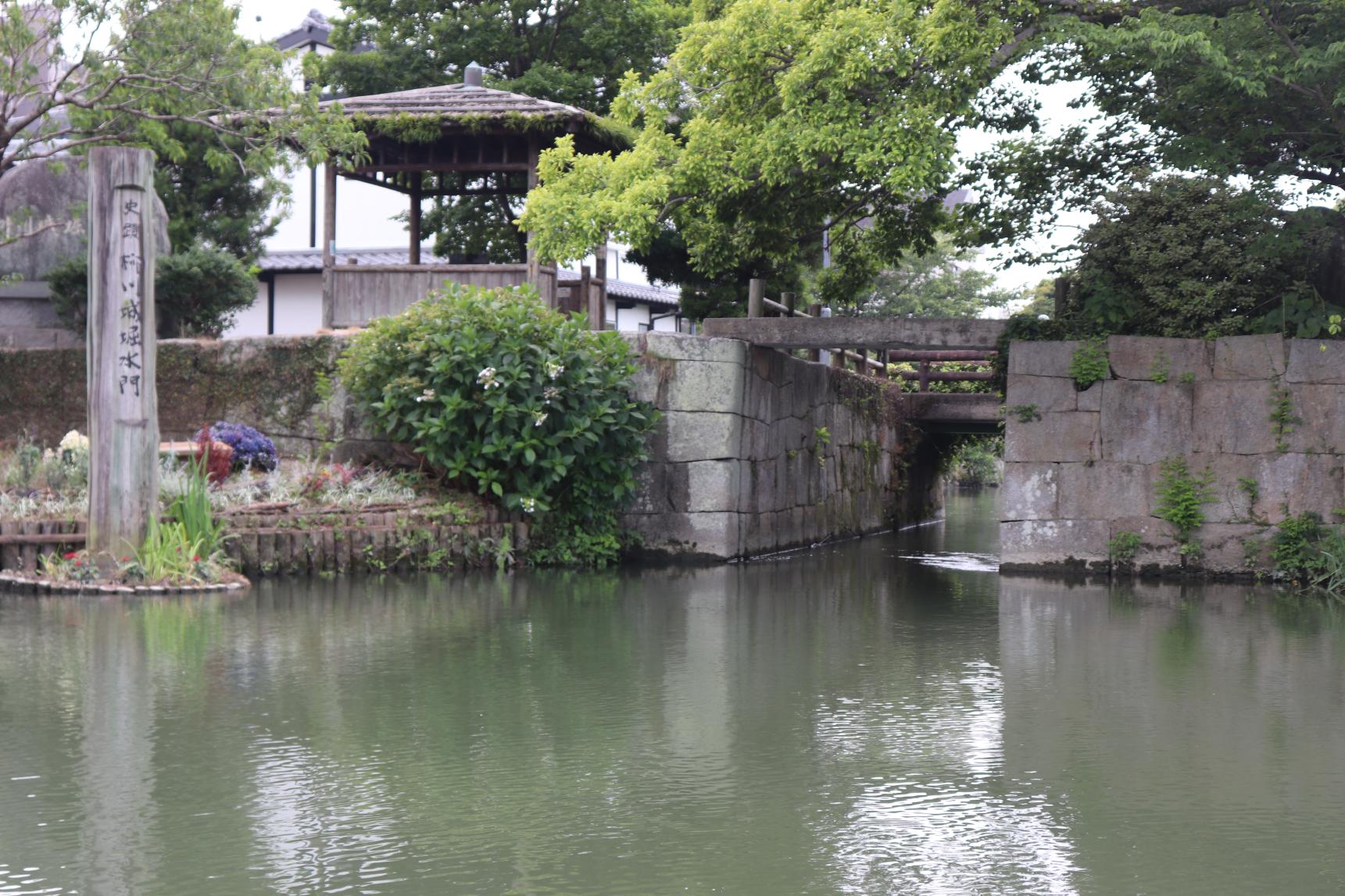 大東エンタープライズ-4