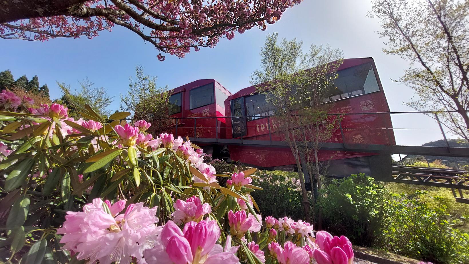 【英彦山スロープカー】お花見列車-1