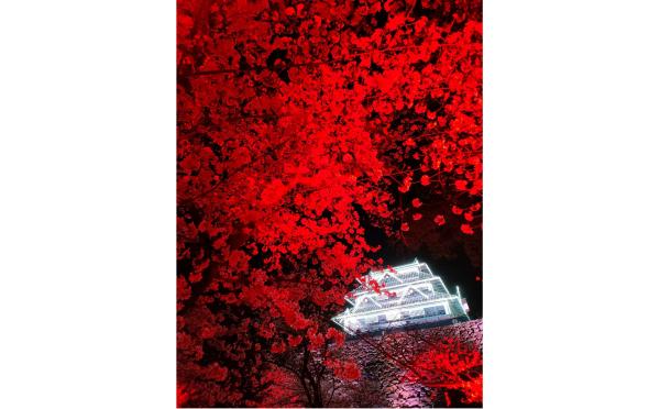 「福岡県美しい景観選」受賞作品展示会-8