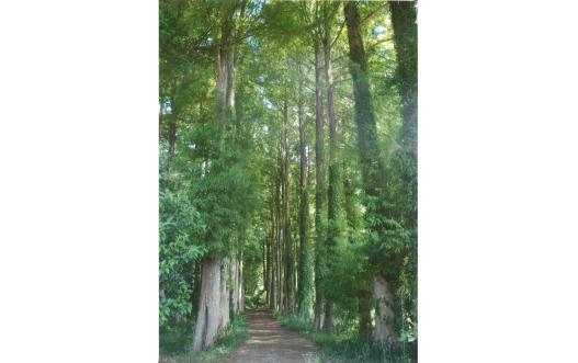 「福岡県美しい景観選」受賞作品展示会-3