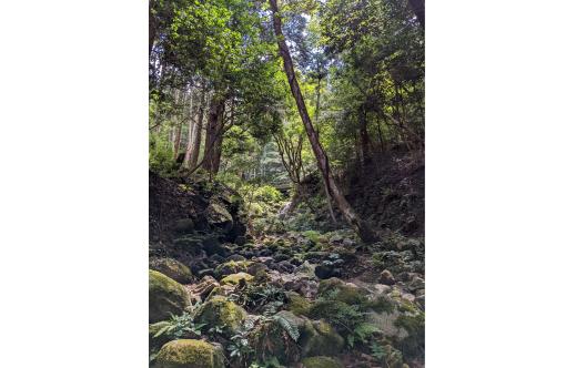 「福岡県美しい景観選」受賞作品展示会-8