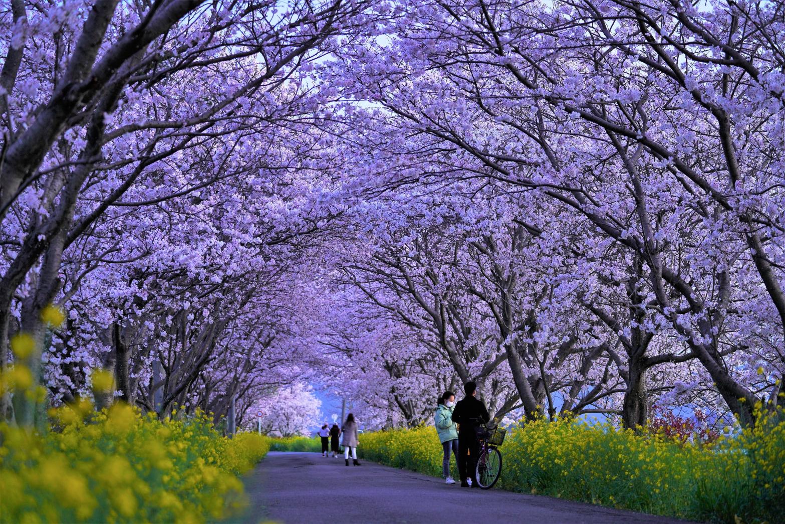「福岡県美しい景観選」受賞作品展示会-3