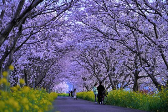 「福岡県美しい景観選」受賞作品展示会-3