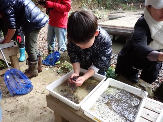 両生類産卵まつり2026-6