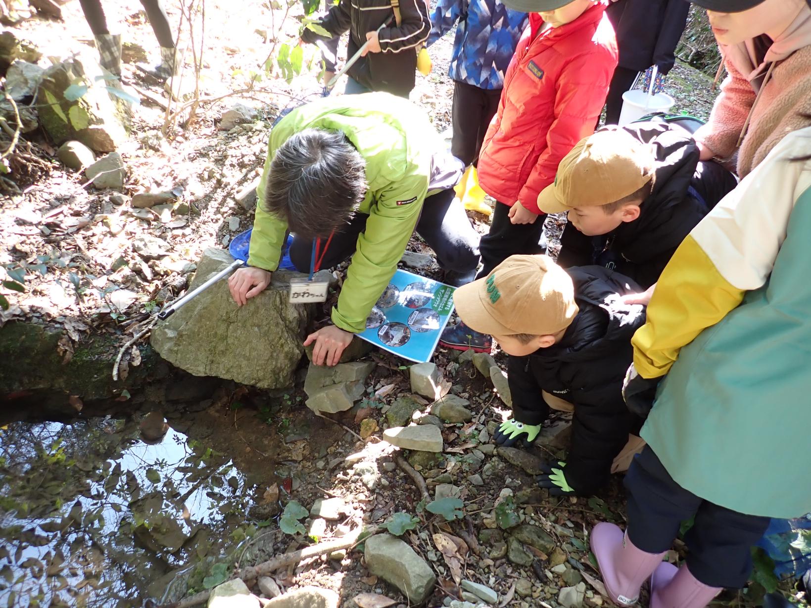 両生類産卵まつり2026-3