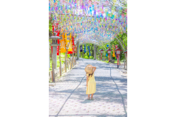 「#わたしの福津光景」フォトコン入選作品展示会-9