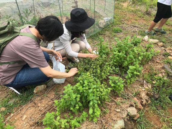 Koishiwara Area Farmstay Promotion Association-1