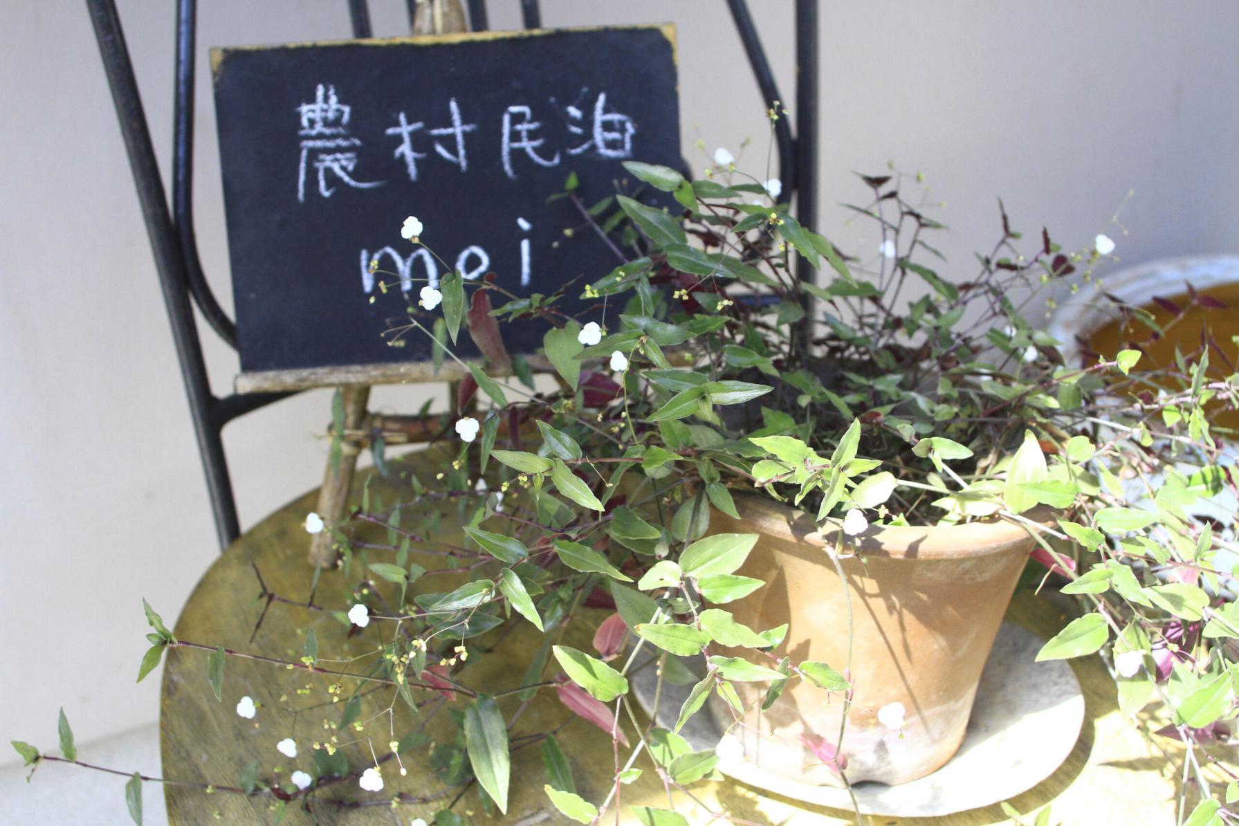 Buzen Green Tourism Research Group-3
