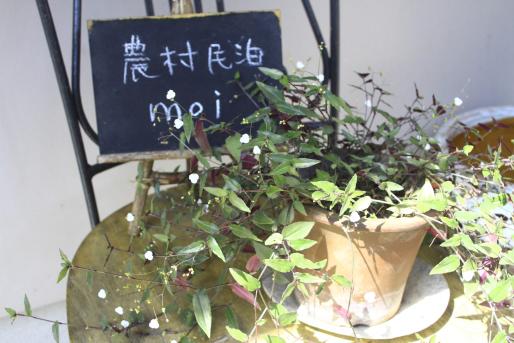 Buzen Green Tourism Research Group-3