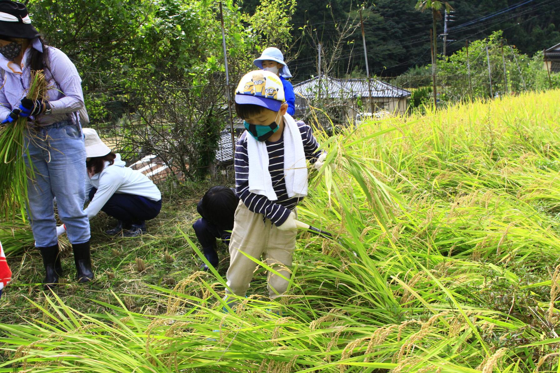Buzen Green Tourism Research Group-2
