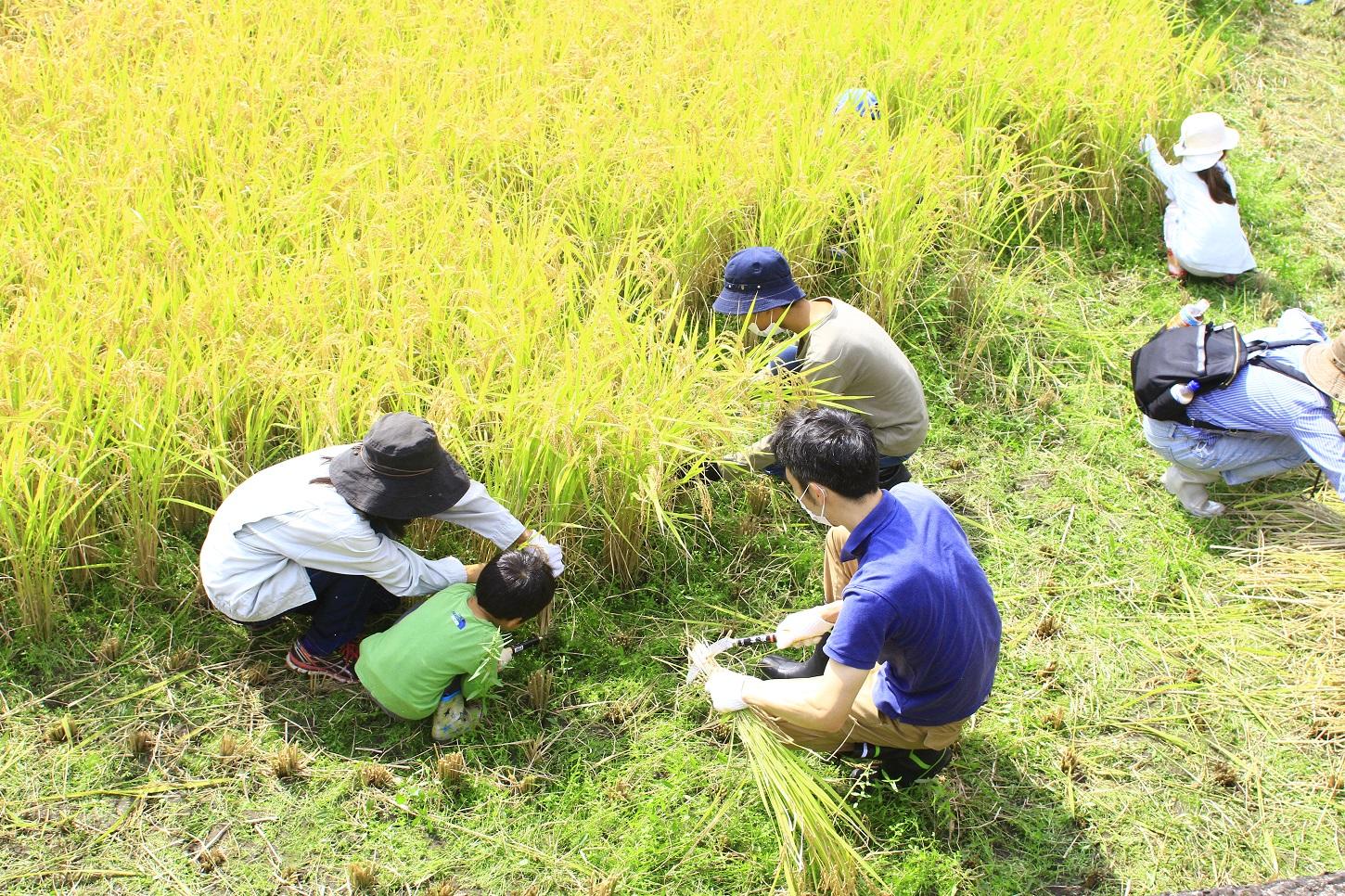 Buzen Green Tourism Research Group-1