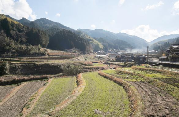 Kawasaki Farmstay Regional Association-2