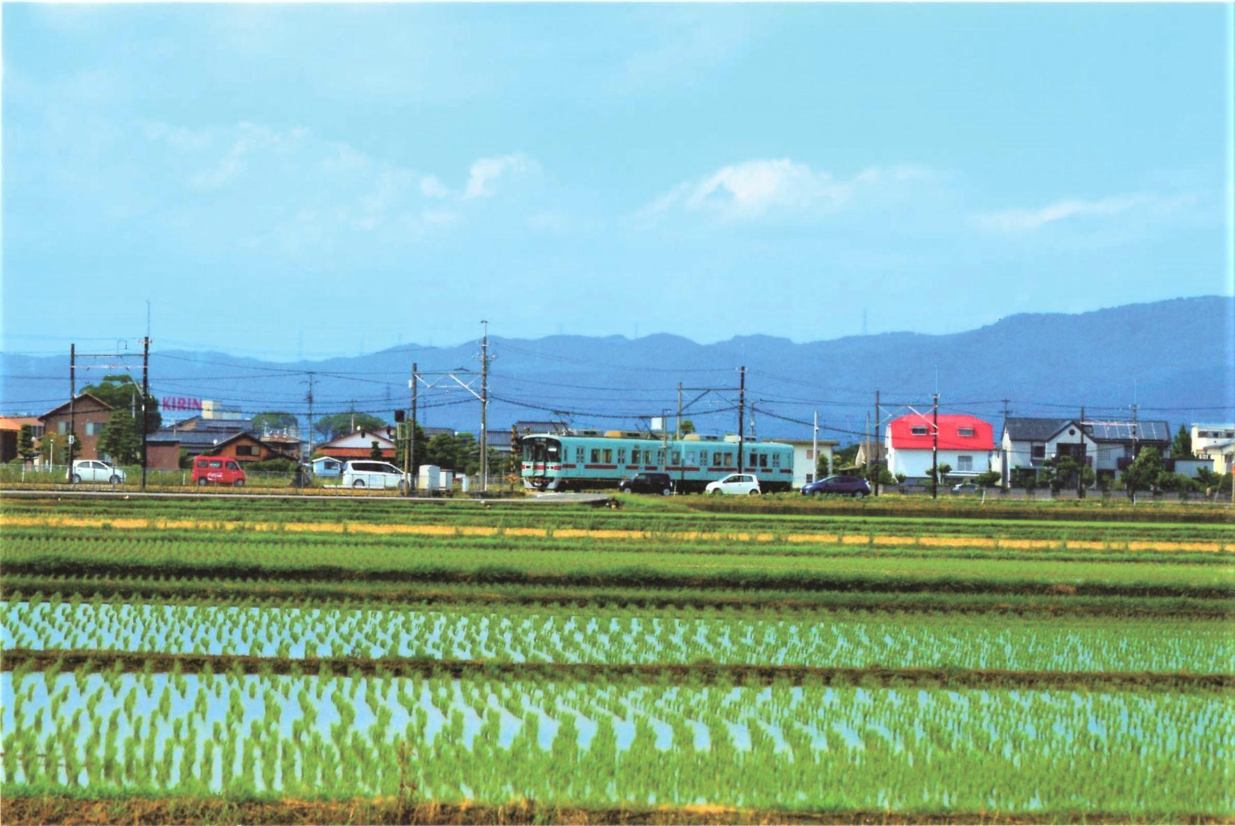 Tachiarai Green Tourism Association-4
