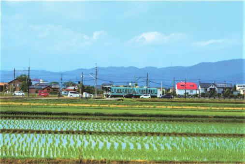 Tachiarai Green Tourism Association-4