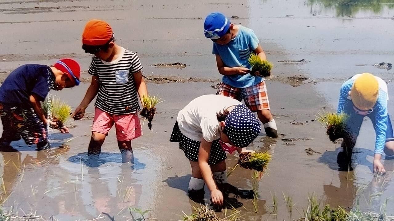 【农泊】福冈体验・教育旅行协会-1