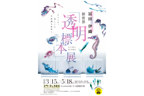 【スペースLABO】新世界「透明標本」展-1