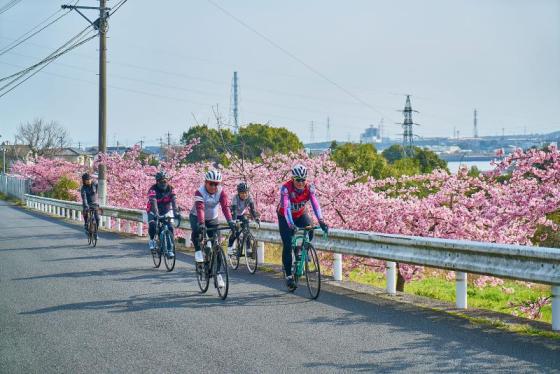 春爛漫！さくらサイクリング-0