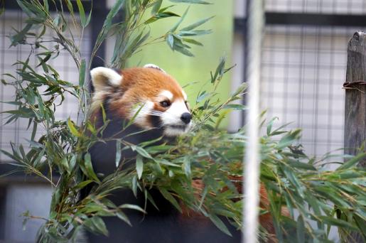 西鉄バス 春の新生活応援キャンペーン-3