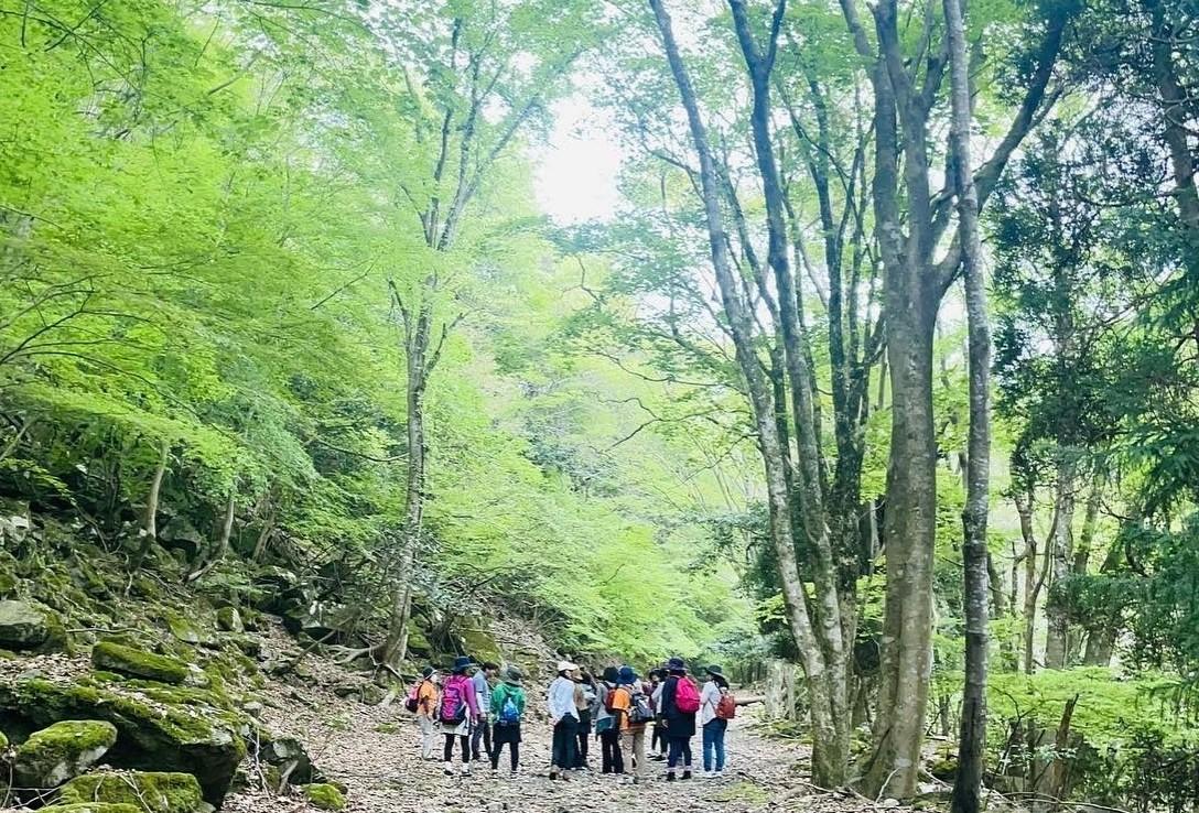 森林セラピー体験 豊前-1
