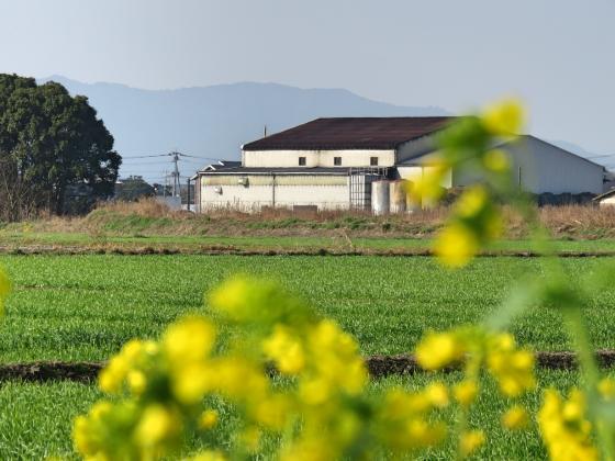 みいの寿・研醸　合同蔵開放（蔵開き）-1