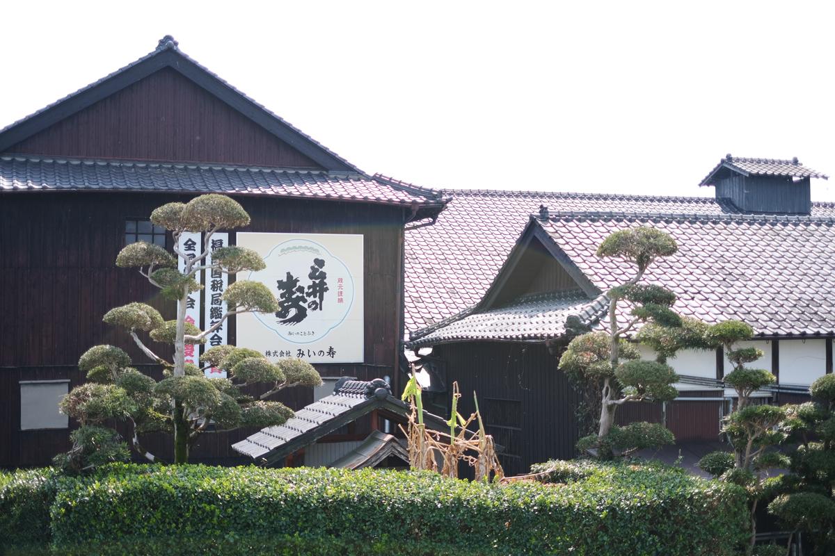 みいの寿・研醸　合同蔵開放（蔵開き）-1