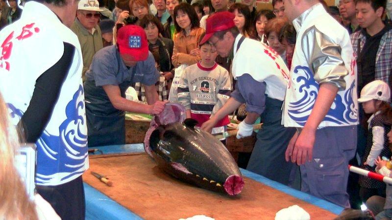 長浜鮮魚市場　市民感謝デー-2