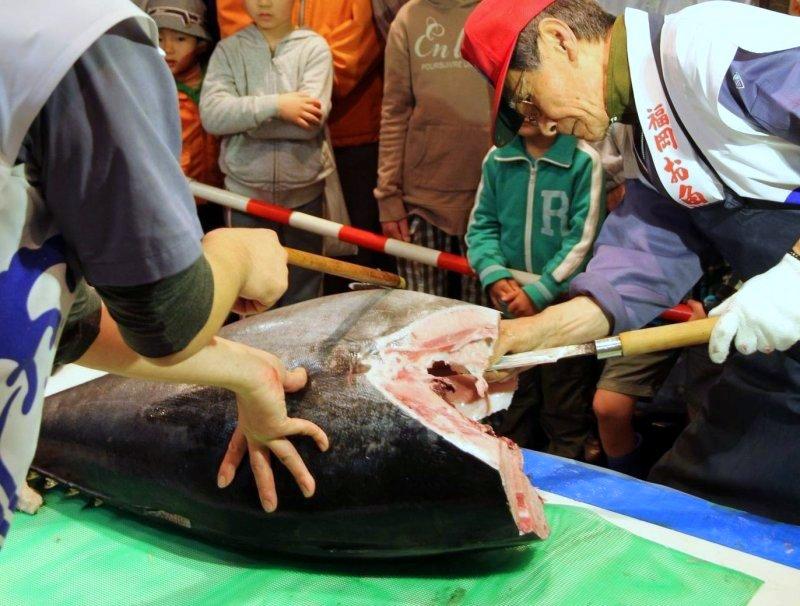 長浜鮮魚市場　市民感謝デー-1