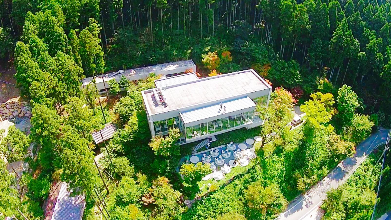 茶房わらび野-9