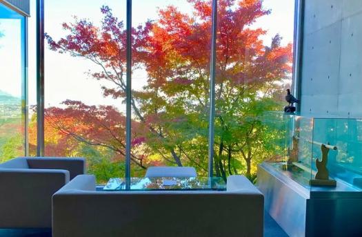 茶房わらび野-2