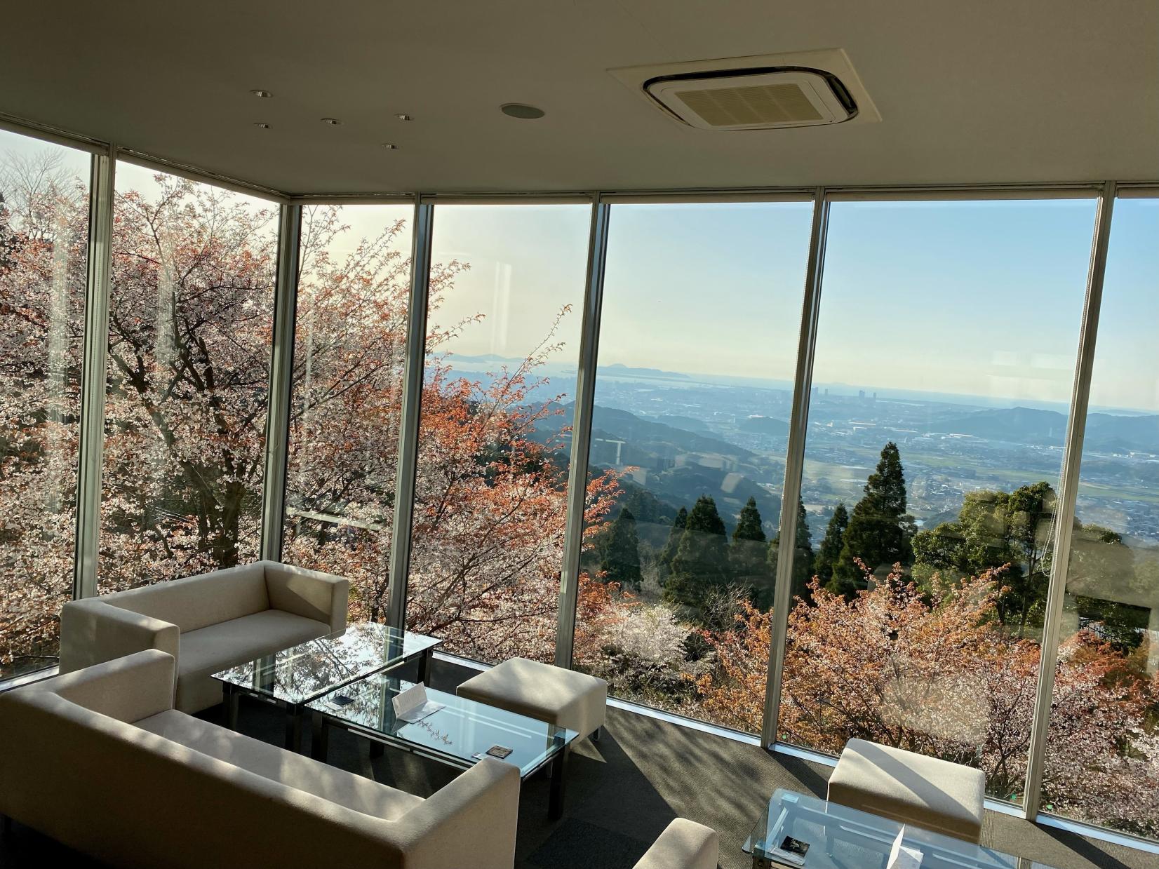 茶房わらび野-6