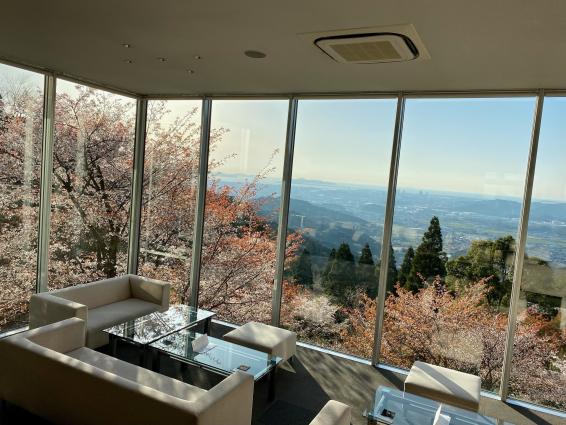 茶房わらび野-6