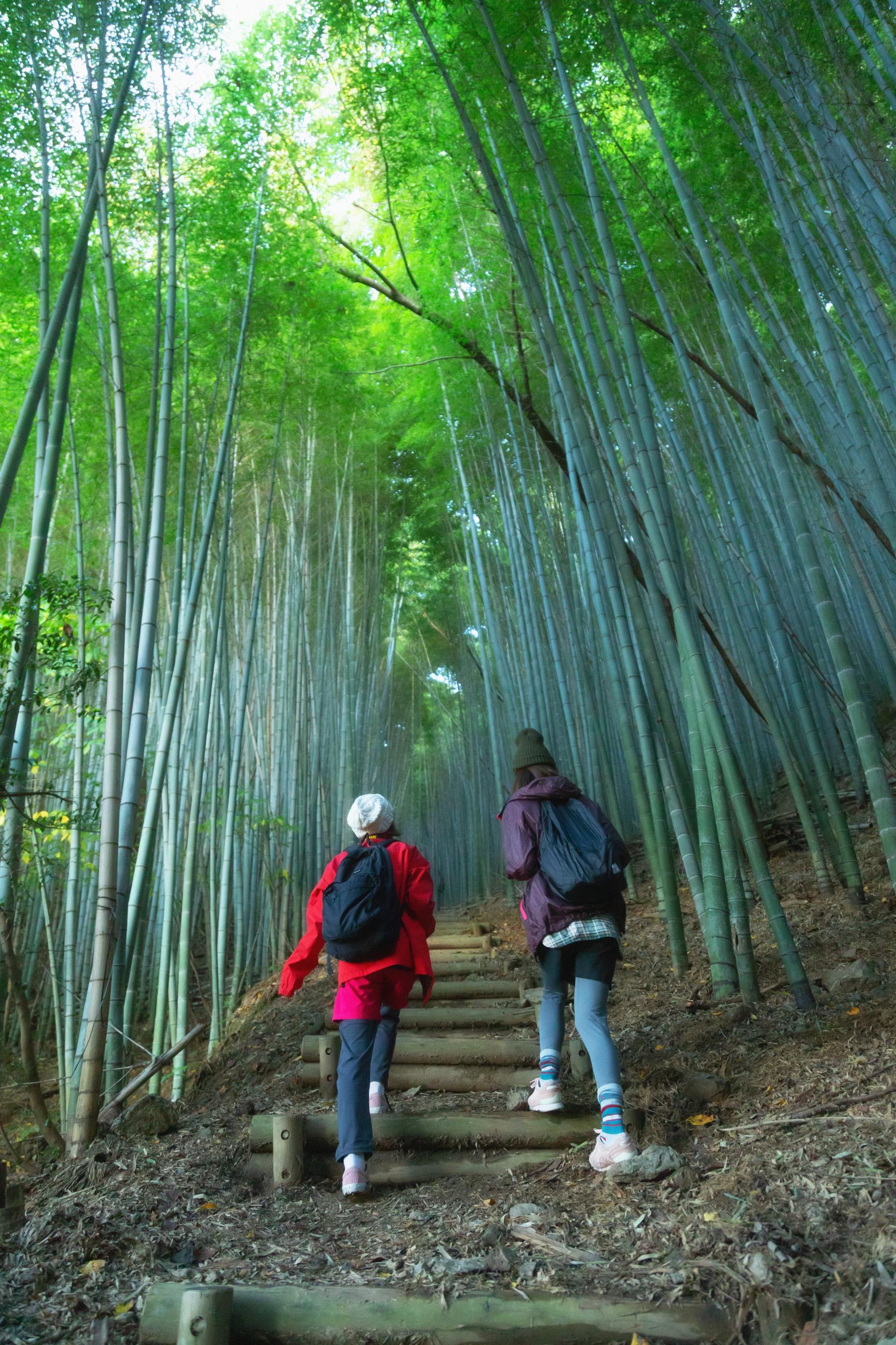 【みやま市】巫女の道、山門の古道を歩く、オルレ体験-1