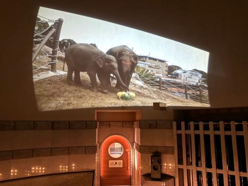 Zooっとワクワク照葉スパリゾート-3
