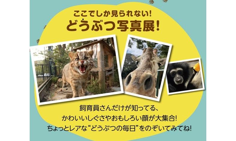 Zooっとワクワク照葉スパリゾート-6