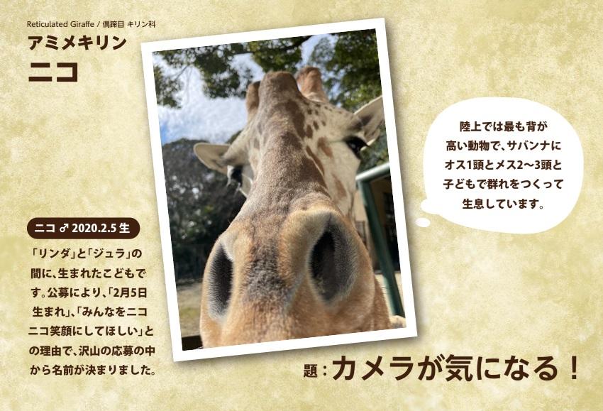 Zooっとワクワク照葉スパリゾート-7