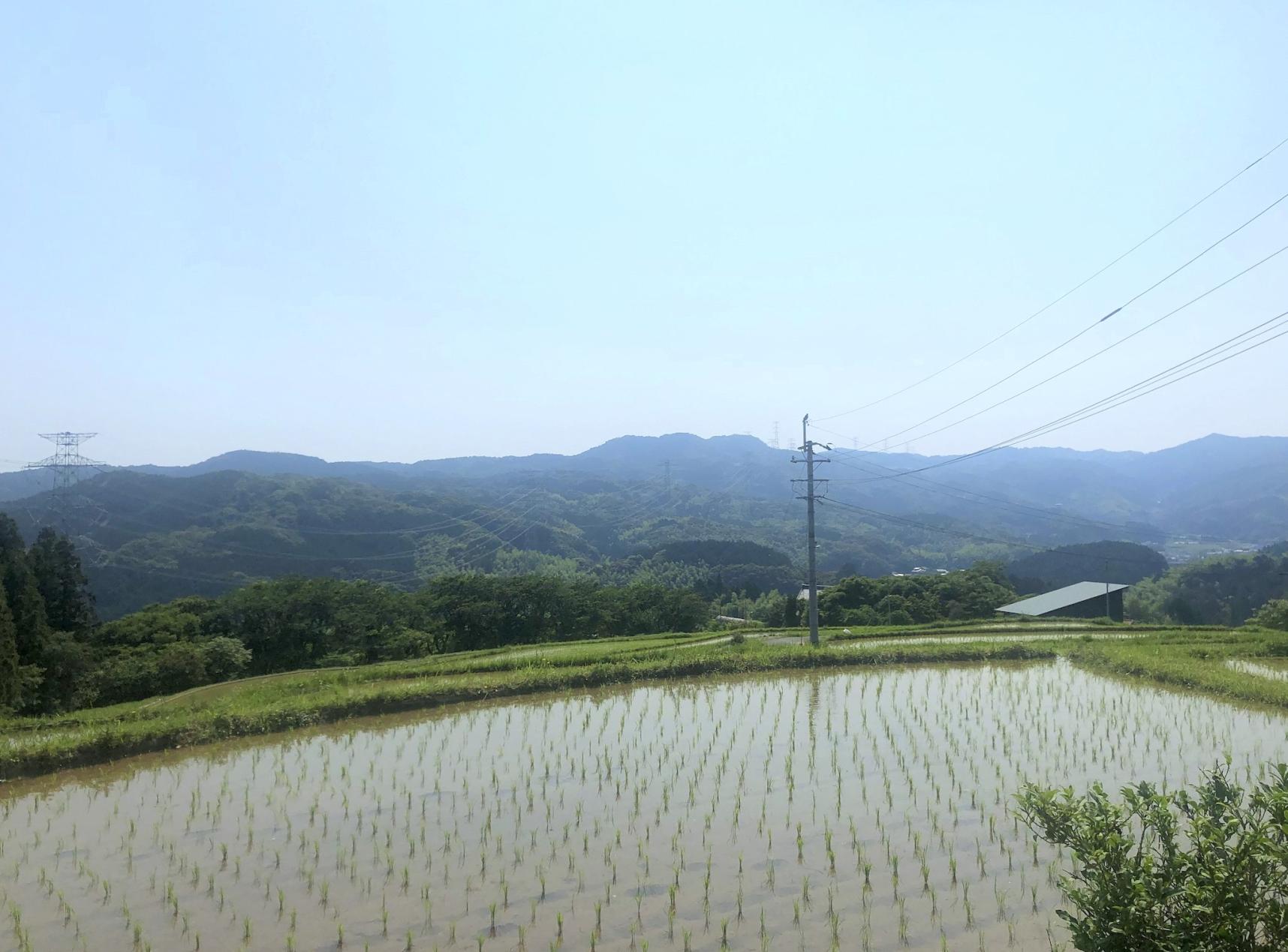 南畑日和-1