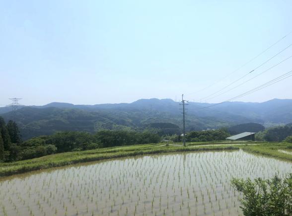 南畑日和-1
