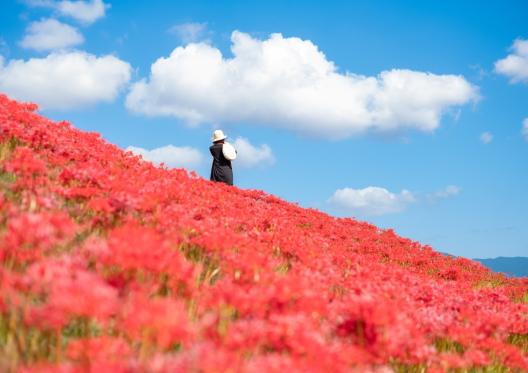 宮若市の自然を満喫！「チェアリング」セット貸し出しでプチキャンプ体験-4