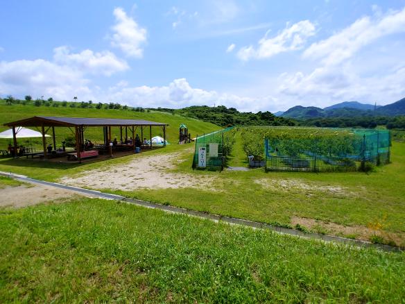 山の里自然農園-2