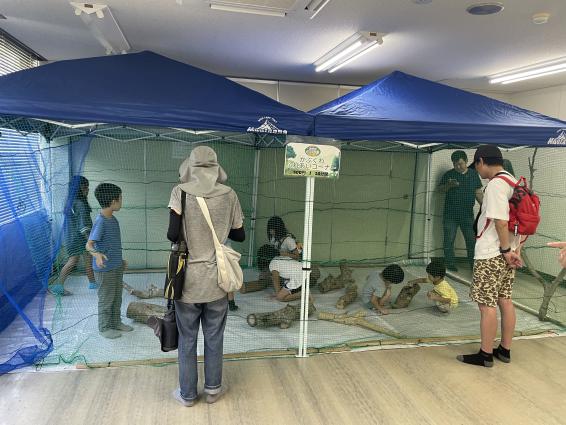 SHIKISITE 世界のかぶくわ展2026-4