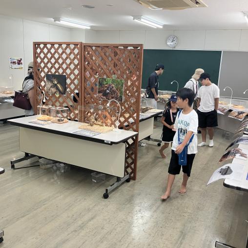 SHIKISITE 世界のかぶくわ展2026-3