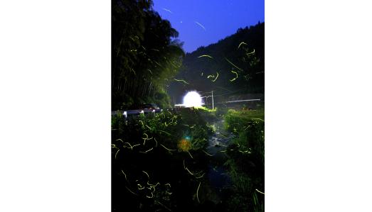 田代ホタル祭り（八女市）-1