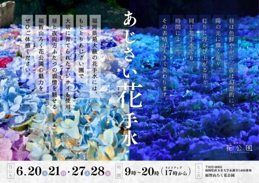 【福智山ろく花公園】あじさい花手水-0