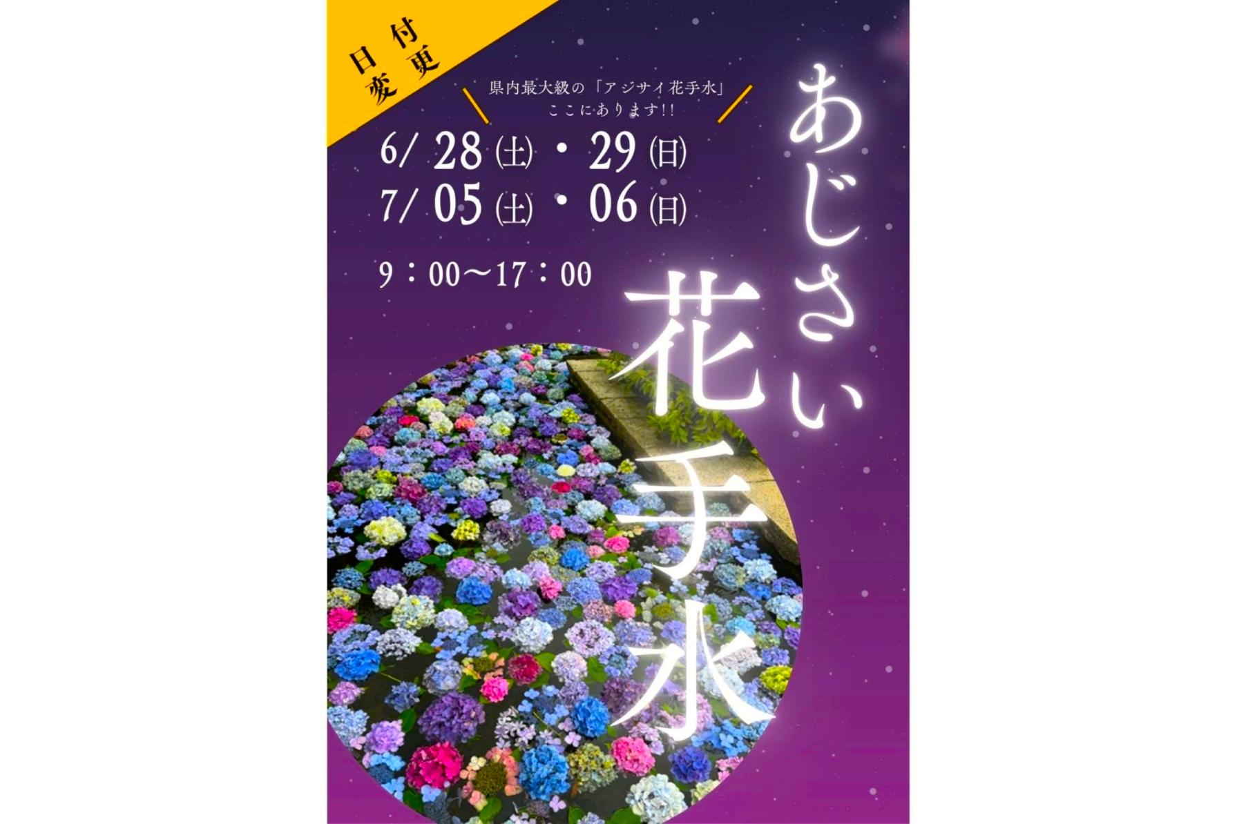 【福智山ろく花公園】あじさい花手水-1
