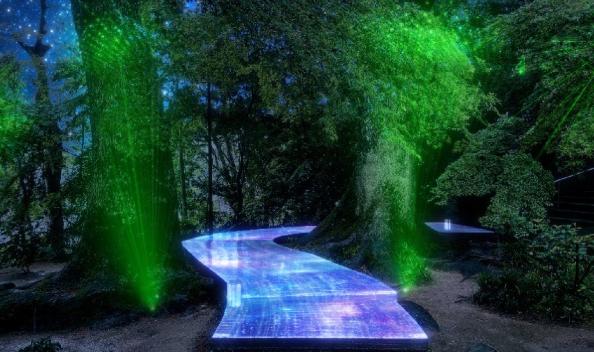 【宝満宮竈門神社】七夕祭り～祈りのともしび～-2